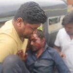 जंगली भालू के हमले में व्यक्ति गंभीर रूप से घायल, अस्पताल में भर्ती